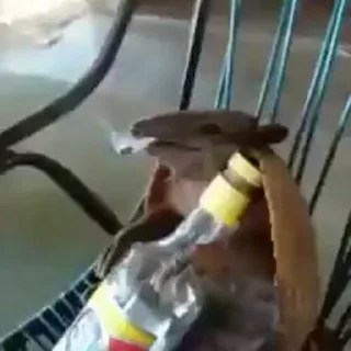 🍾