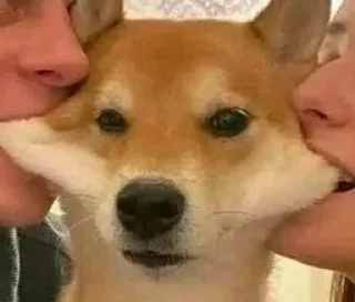 💓