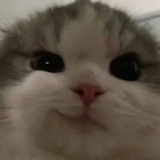🤤