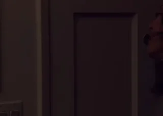 🎈