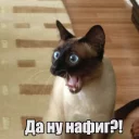 😱