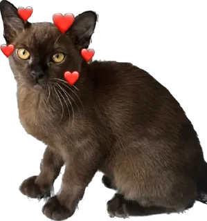 🥰