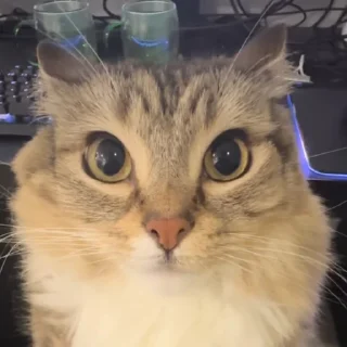 🤨