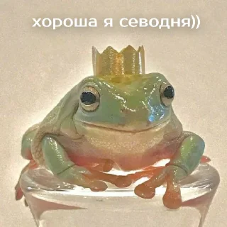 👑