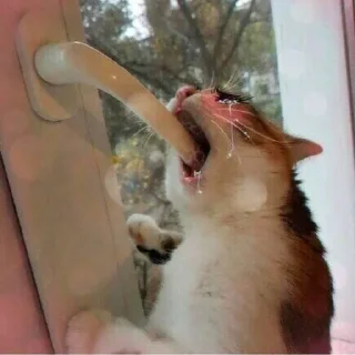 😭