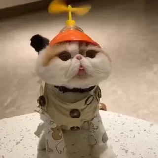 🚁