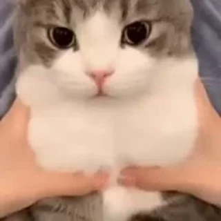 😶