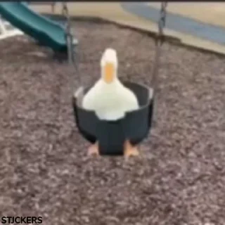 🪿
