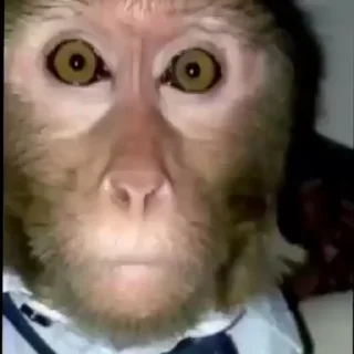 😵‍💫