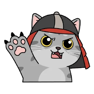 😾