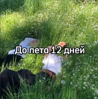 ☀️