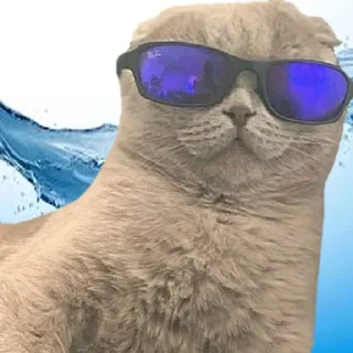 🧊
