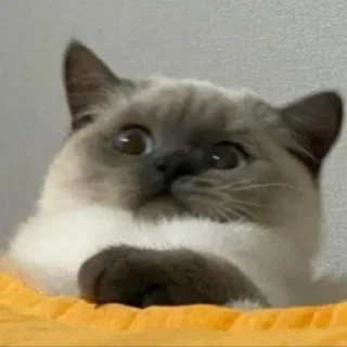 😟