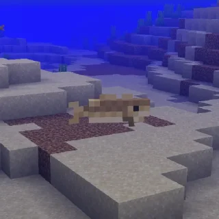 🐠
