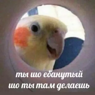 🤨