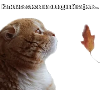 😭