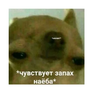 😑