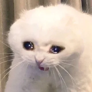 🥺
