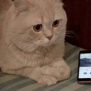 🙁