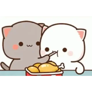 Mochi peach cat