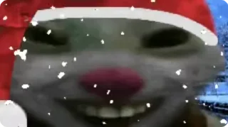 😺