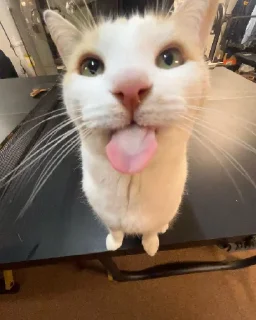 😛