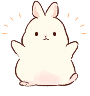 Soft and cute rabbits @softandqt