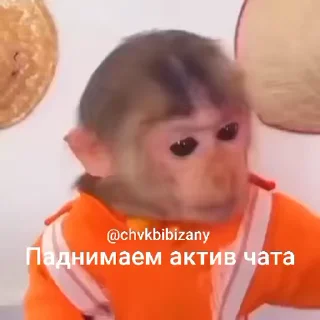 🐵