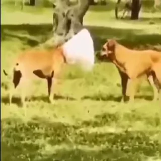 🤨