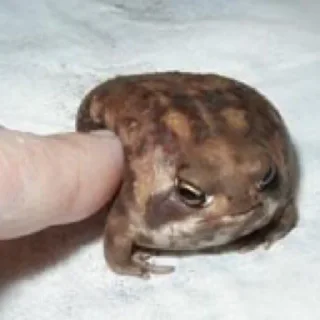 🙂