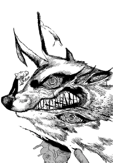 🦊