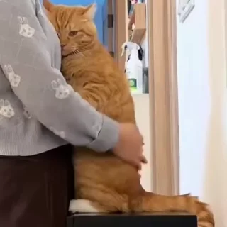 🤗