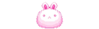 🐇