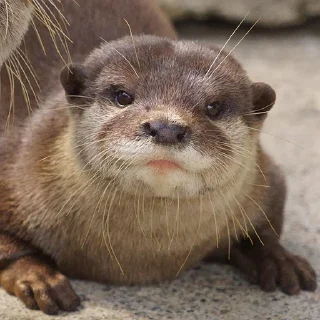 😐