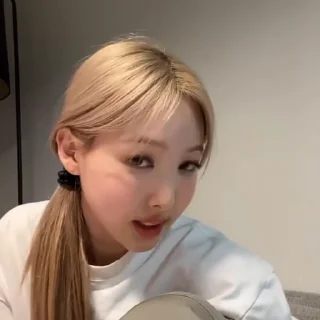 🐰