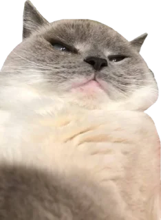 😠