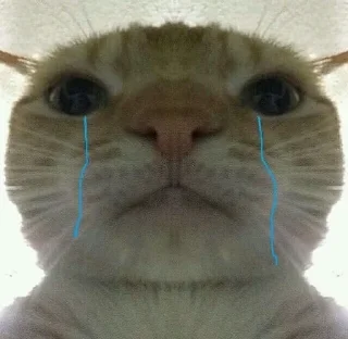 😭