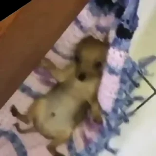 😐