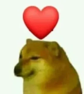 ❤️