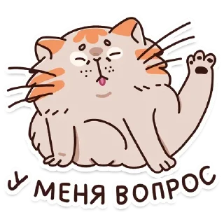 🙋‍♂