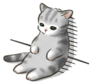 🐱