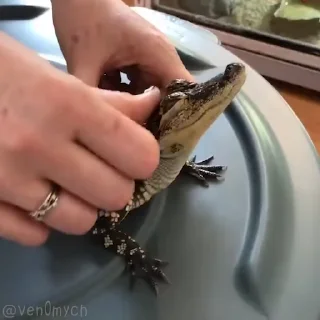 🥰