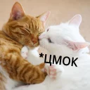 😘