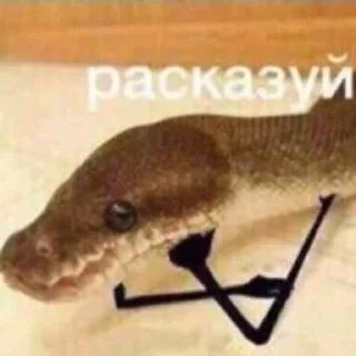 🌚