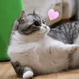 💋