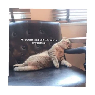 😫