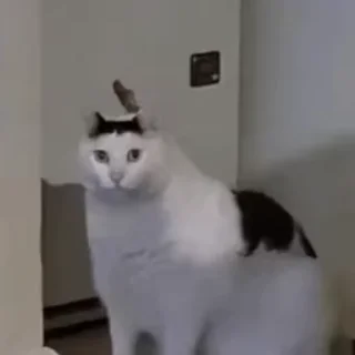 🤔