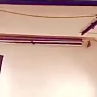 🐫