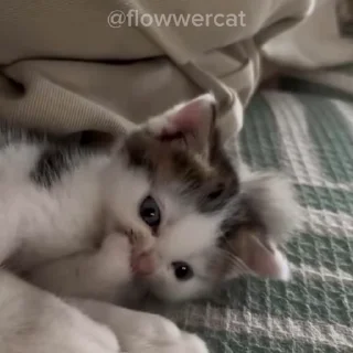 😋