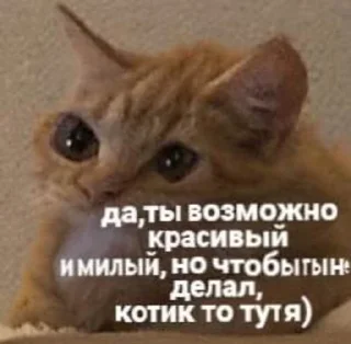 😎